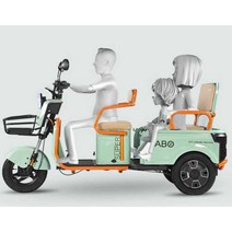 삼륜 전동차 세발 전기오토바이 2-3인 스쿠터 배달용, 60V800W - 48V (배터리없음)