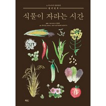 식물이 자라는 시간:도시농부의 텃밭 정원 컬러링북, 북센스