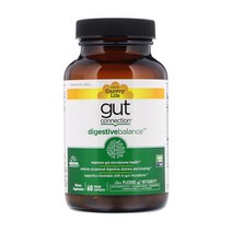 컨트리 라이프 거트 커넥션 다이제스티브 밸런스 비건 캡슐 60정 PreticX 자일로올리고당 프리바이오틱 EpiCor 에피코르 건조 효모 발효물 키위 분말 베네거트 들깨잎 추출물, 1개, 기본