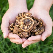 봉래 국산 탱자 200g/탱자열매/말린탱자/건탱자/건강차 식품 > 건강식품 전통건강식품 기타전통건강식품/한방재료, 200g, 1, 200g” class=”wr-img”></a></div></p></div></p></div></p></div><div class=