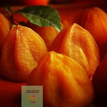 애미꾸미영화청과 특급 국내산 곶감 500g 만드는법 건시 상주, 단품