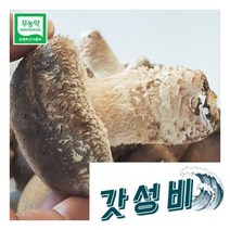 초정 무농약 송화고버섯실속형1kg