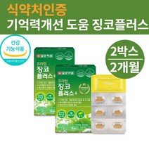 은행잎 엑스 은행잎추출물 식약처인증 골다고증 감소 도움 대용량 혈액순환개선 혈행개선 추천, 일양징코30정x2박스
