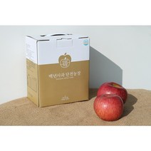 백년사과 단전농장 NFC착즙 명품 생사과즙 3L 벌크, 1박스