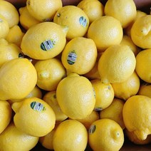 미국산 칠레산 레몬 정품 레몬 7개입 20개입 40개입(120g내외)