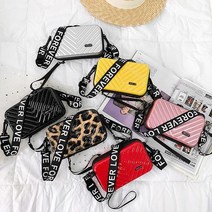 캐리어 파우치 멀티 하드 미니 크로스바디 휴대용