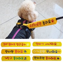 [펫츠룩] 리드줄 슬로건 27종, 개 조심, 블랙