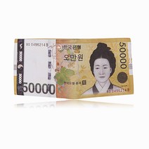 애띠앙 지폐 지갑 생일 선물 오만원 지갑 100달러 지갑 용돈 지갑 신박한 신기한 재밌는 독특한 생일 선물