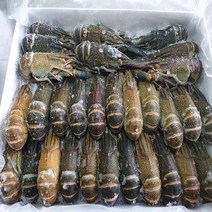 동아씨푸드 크레이피쉬 민물가재 마라롱샤 800g +소스포함, 1개, 8-12미 800g + 소스