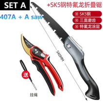 정원가위 전지가위 수작업 정전기 수동 Delixi-SK5 철강 원예 과일 나무 가지 치기 가위 정원 꽃 가위, CN, SET A