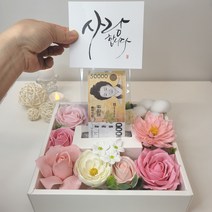 용돈박스 어버이날 돈티슈 반전용돈박스 부모님 생신 환갑 칠순 돈선물 현금선물, 2.파스텔핑크