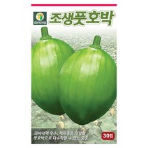 더존 복수박 씨앗 10립 - 수박씨 복수박씨 꿀수박 야채씨앗 채소씨앗 채소재배 종묘 종자 베란다 텃밭 씨 씨앗 오이 호박 방울토마토 참, 12_다농_조생 풋호박(30립)
