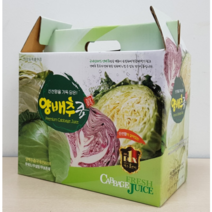 강원약초건강원 양배추 브로콜리즙 110ml * 60포, 60개