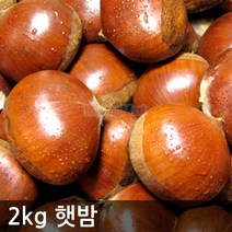 2022년 햇밤(대) 2kg 깐밤가능 충남 공주/부여, 알밤(대)2kg+밤가위, 1개