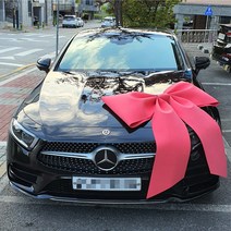 [플로라디자인]가격다운! 품질은업! 고퀄 차량용장식리본 자동차리본 박나래리본 대형리본 자이언트리본, 레드, 없음