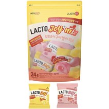 종근당 특허받은 유산균 배양 분말 NO지방 락토조이 구미젤리 600g, 1개