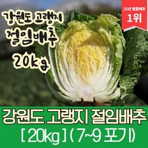 강원도 고랭지 절임배추 20kg, 09월 01일 (금요일)