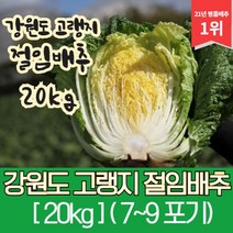 강원도 고랭지 절임배추 20kg, 목요일 출고 금요일 도착