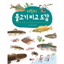 어린이 물고기 비교 도감:서로 닮은 물고기를 쉽게 구별할 수 있어요, 진선아이