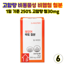 닥터루템 헤모어 락토 철분 빈혈 임산부 영양제 비헴철 고함량 1일기준 250%함유 철분제 무첨가 무부형제, 6개