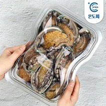 [온도씨] 완도 활 전복 10-11마리 500g (소) 실속포장, 상세 설명 참조, 상세 설명 참조