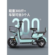 배달용전기자전거 가성비 출퇴근 배달 전기자전거 새로운 국가 표준 전기 자동차 남녀 여행 자전거 이륜 스마트 배터리 자동차와 함께 Yadi Emma, [21] [하늘색] 6A 작은 배터리, 배터리 수명 없, [01] 48V, [01] 12아