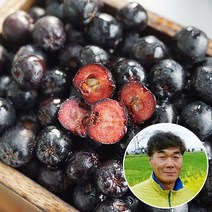 프레시데이 (산지직송) 고창 아로니아 생과 (냉동) 3kg 줄기제거, 1