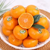 [KT알파쇼핑]불로초감귤 1.5kg S-M로얄과