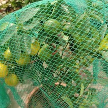 새 그물망 농작물 보호 그물 방조망 4x10m 11974