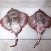 급냉 군산 간재미 1.4kg, 1개