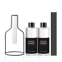 코코도르 와이어 화병/블랙/중 + 리필액 200ml X 2개, 0001_와이어화병/블랙+스틱33/5P/블랙, 27_리필200ml/아쿠아마린X2