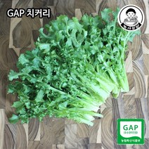 [농사임당] GAP 치커리 샐러드 야채 채소 500g/1kg, 500g