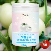 화이트토마토 피쉬콜라겐 피부 얼굴 하얘지는법 먹는 엘라스틴 히알루산 유산균 분말 가루 종합피부관리 230g, 3개
