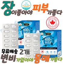 피쉬콜라겐 프로바이오틱스 신바이오틱스 살빠지는 예민한 장 쾌변 체지방 나잇살 허리살 약국유산균 청소년다이어트 다이어트 유산균 체지방감소 단기 한달 다이어트 살빼는 처진 뱃살 빼기