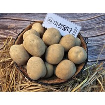 감자 강원도 밀양 보성 산지입고 중, 감자 10kg(중/소/통구이용), 1개