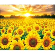 JISAN 명화그리기 50 X 40 cm 캔버스형 DIY 세트, 황금해바라기 마을