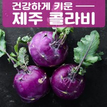 제주도 농장직송 달콤한 고당도 제주 콜라비 사이즈 3kg 5kg 10kg 15kg, 2. 제주 콜라비 5kg