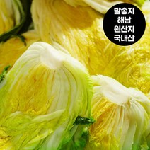 좋은 국내산 절임배추, 20kg, 금요일 출고 토요일 도착