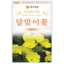 금계국 200립 - 야생화 씨앗 꽃씨 씨 꽃씨앗 금계국씨앗 금계국씨 다년생꽃씨 여러해살이 야생화씨 야생화씨앗, 13_다농_달맞이꽃(1g)