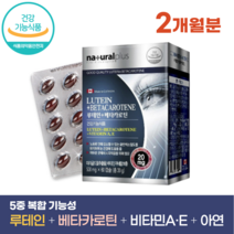 캐나다 루테인 베타카로틴 60캡슐 2개월분 식약처 인증 LUTEIN 베타카로틴 비타민A 청소년 성인 부모님 온가족 눈 영양제 알약케이스 포함, 1박스