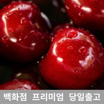 [특등급선별] 체리 2.5kg 바이오체리 생체리 레이니어체리 체리가격 체리종류 국산체리 체리농장 칠레산체리 워싱턴체리 국내산체리 미국체리 캘리포니아체리 미국산체리 항공체리 체리박스