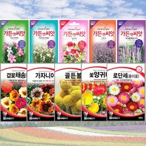 꽃씨 허브씨 120여종 / 야생화 다년생 씨앗 화단 정원 꽃밭, 시계꽃(패션푸르츠), 꽃