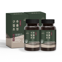 웰빙곳간 구절초 추출정 600mg 120정 4개월분 식약처인증, 2개