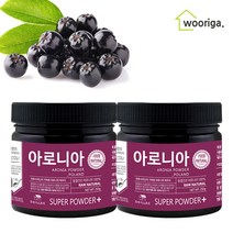 동결건조 아로니아 분말 250gx2, 단품