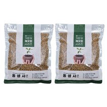 가든잇 깨끗한 동생사 2L 소포장 2개세트, 소립, 2000ml, 2개