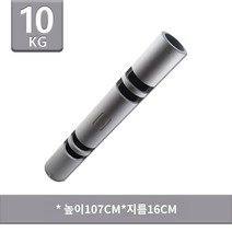 전신 근력 2kg 유산소 바이퍼 천연고무관 트레이닝, 10KG [그레이] 트레이닝 강화