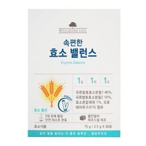 웰빙라이프 속편한 효소 밸런스75g(2.5gx30포), 75g, 1개