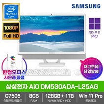 삼성전자 올인원PC DM530ADA-L25AG WIN11PRO 펜티엄골드 G7505 8GB NVMe128GB HDD1TB 사무용/업무용/학생용/일체형/컴퓨터/PC