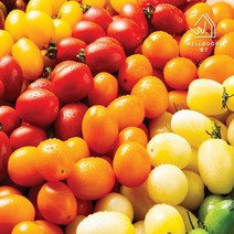 [웰굿] 4계절 칼라방울토마토 550g(중), 1개