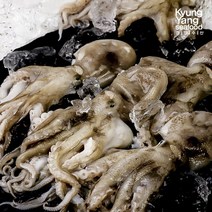 국내산 손질 햇 주꾸미 4팩, 단일옵션